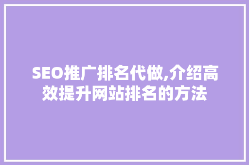 SEO推广排名代做,介绍高效提升网站排名的方法