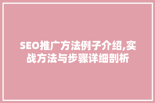 SEO推广方法例子介绍,实战方法与步骤详细剖析