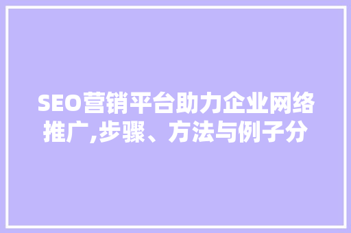 SEO营销平台助力企业网络推广,步骤、方法与例子分析