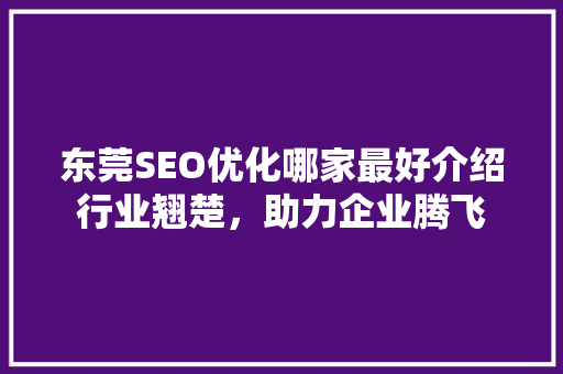 东莞SEO优化哪家最好介绍行业翘楚，助力企业腾飞