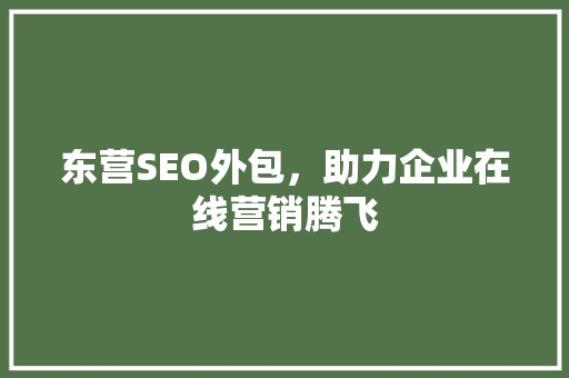 东营SEO外包，助力企业在线营销腾飞