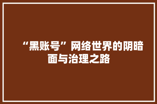 “黑账号”网络世界的阴暗面与治理之路
