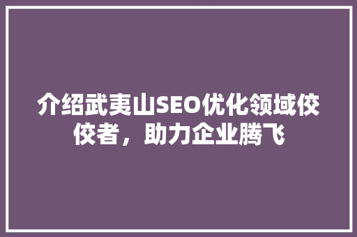介绍武夷山SEO优化领域佼佼者，助力企业腾飞