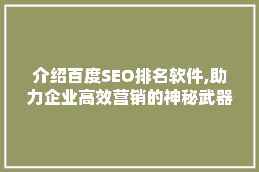 介绍百度SEO排名软件,助力企业高效营销的神秘武器