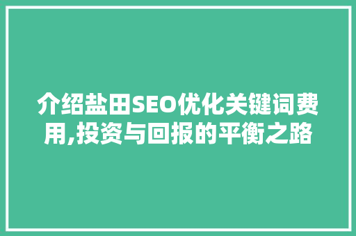 介绍盐田SEO优化关键词费用,投资与回报的平衡之路