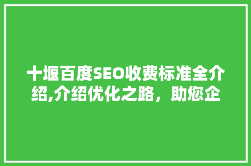 十堰百度SEO收费标准全介绍,介绍优化之路，助您企业腾飞