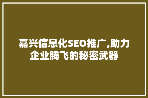 嘉兴信息化SEO推广,助力企业腾飞的秘密武器