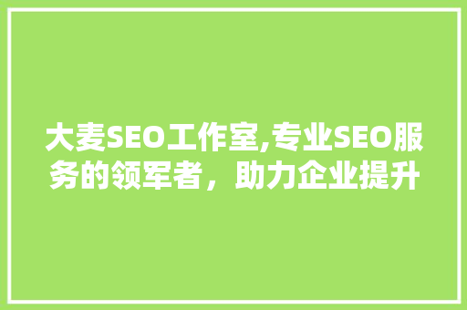 大麦SEO工作室,专业SEO服务的领军者，助力企业提升网络影响力