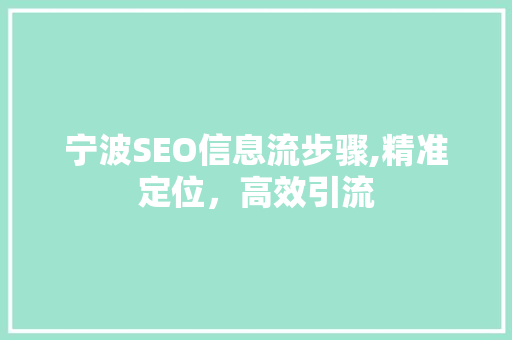 宁波SEO信息流步骤,精准定位，高效引流