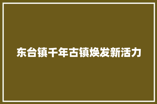 东台镇千年古镇焕发新活力
