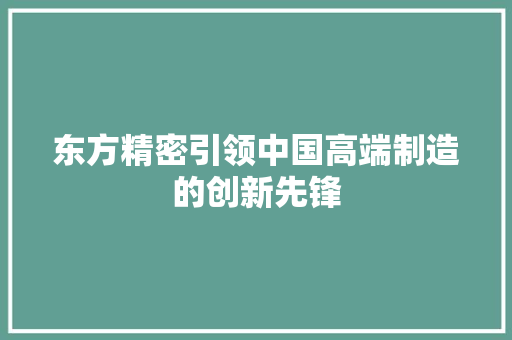 东方精密引领中国高端制造的创新先锋