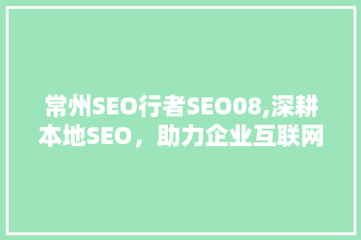 常州SEO行者SEO08,深耕本地SEO，助力企业互联网营销新篇章