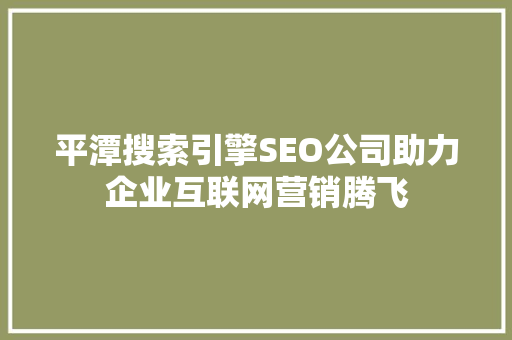 平潭搜索引擎SEO公司助力企业互联网营销腾飞