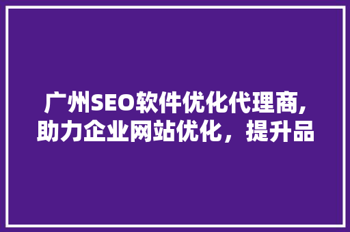 广州SEO软件优化代理商,助力企业网站优化，提升品牌影响力