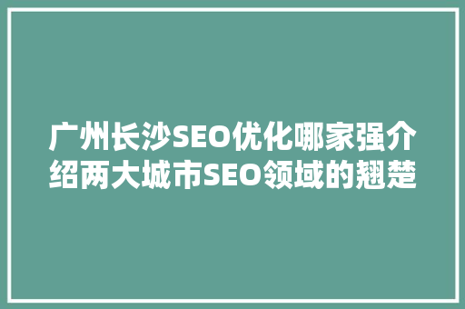 广州长沙SEO优化哪家强介绍两大城市SEO领域的翘楚  第1张