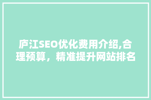 庐江SEO优化费用介绍,合理预算，精准提升网站排名