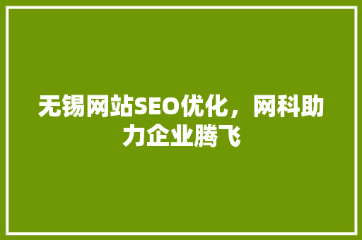 无锡网站SEO优化，网科助力企业腾飞