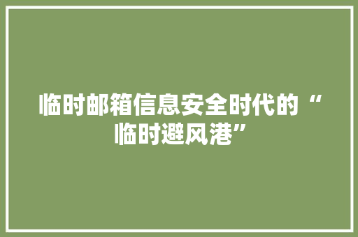 临时邮箱信息安全时代的“临时避风港”