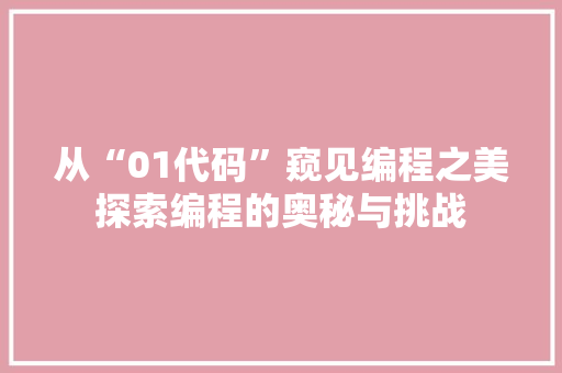 从“01代码”窥见编程之美探索编程的奥秘与挑战