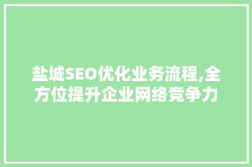 盐城SEO优化业务流程,全方位提升企业网络竞争力