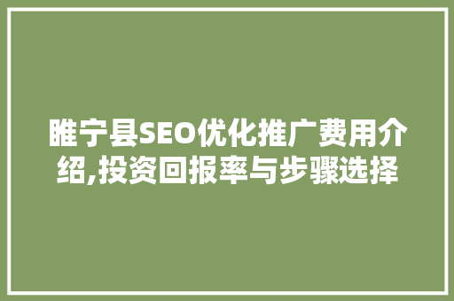 睢宁县SEO优化推广费用介绍,投资回报率与步骤选择  第1张