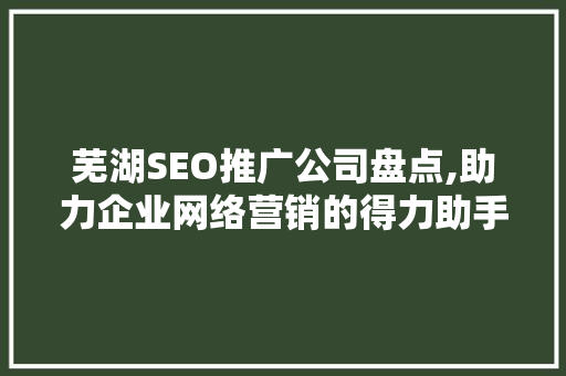 芜湖SEO推广公司盘点,助力企业网络营销的得力助手