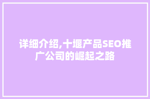 详细介绍,十堰产品SEO推广公司的崛起之路