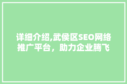 详细介绍,武侯区SEO网络推广平台，助力企业腾飞