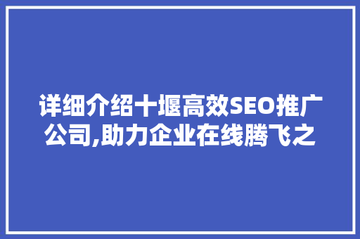 详细介绍十堰高效SEO推广公司,助力企业在线腾飞之路