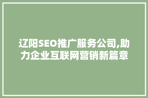 辽阳SEO推广服务公司,助力企业互联网营销新篇章