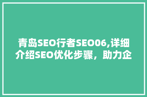 青岛SEO行者SEO06,详细介绍SEO优化步骤，助力企业网站提升排名