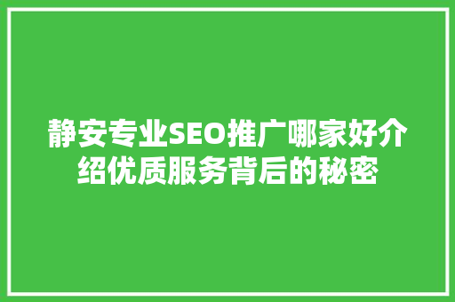 静安专业SEO推广哪家好介绍优质服务背后的秘密  第1张