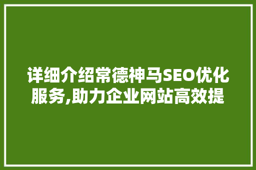 详细介绍常德神马SEO优化服务,助力企业网站高效提升排名  第1张