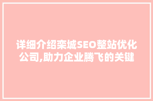 详细介绍栾城SEO整站优化公司,助力企业腾飞的关键一步
