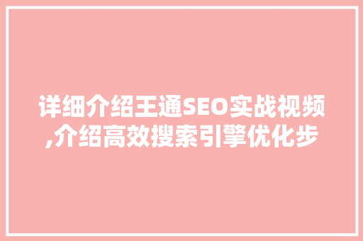 详细介绍王通SEO实战视频,介绍高效搜索引擎优化步骤