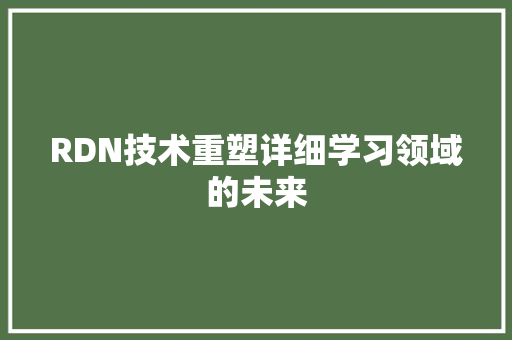 RDN技术重塑详细学习领域的未来