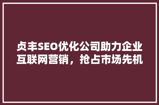 贞丰SEO优化公司助力企业互联网营销，抢占市场先机