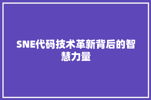 SNE代码技术革新背后的智慧力量