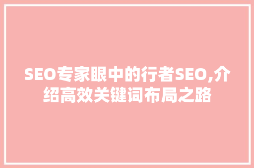 SEO专家眼中的行者SEO,介绍高效关键词布局之路