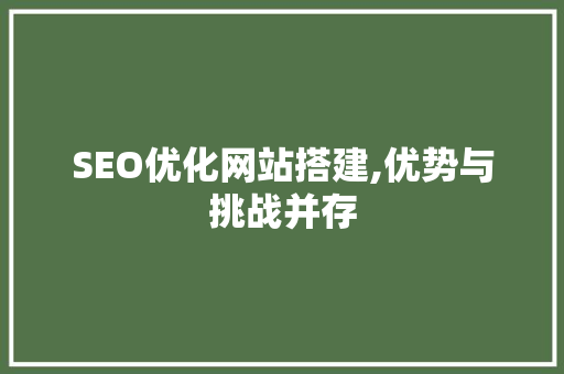 SEO优化网站搭建,优势与挑战并存