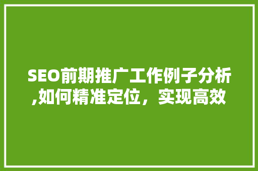 SEO前期推广工作例子分析,如何精准定位，实现高效转化  第1张