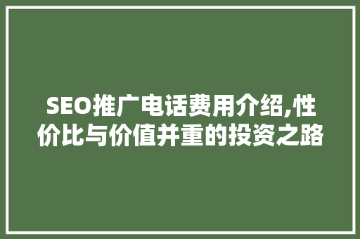 SEO推广电话费用介绍,性价比与价值并重的投资之路