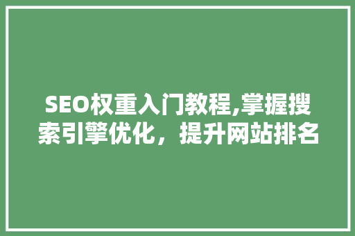 SEO权重入门教程,掌握搜索引擎优化，提升网站排名之路