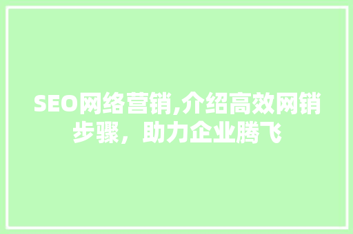 SEO网络营销,介绍高效网销步骤，助力企业腾飞