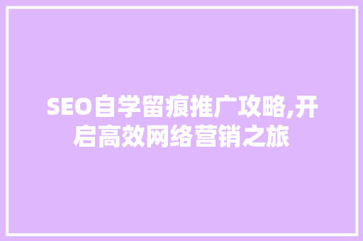 SEO自学留痕推广攻略,开启高效网络营销之旅