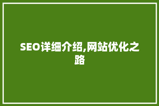 SEO详细介绍,网站优化之路  第1张