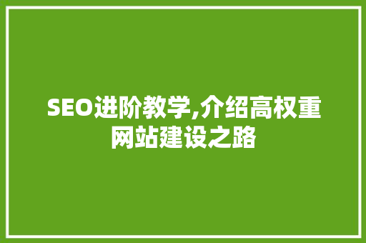 SEO进阶教学,介绍高权重网站建设之路