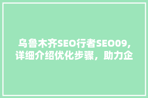 乌鲁木齐SEO行者SEO09,详细介绍优化步骤，助力企业互联网营销