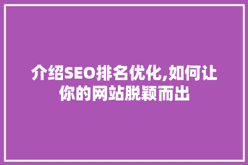 介绍SEO排名优化,如何让你的网站脱颖而出