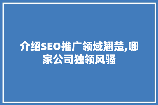 介绍SEO推广领域翘楚,哪家公司独领风骚